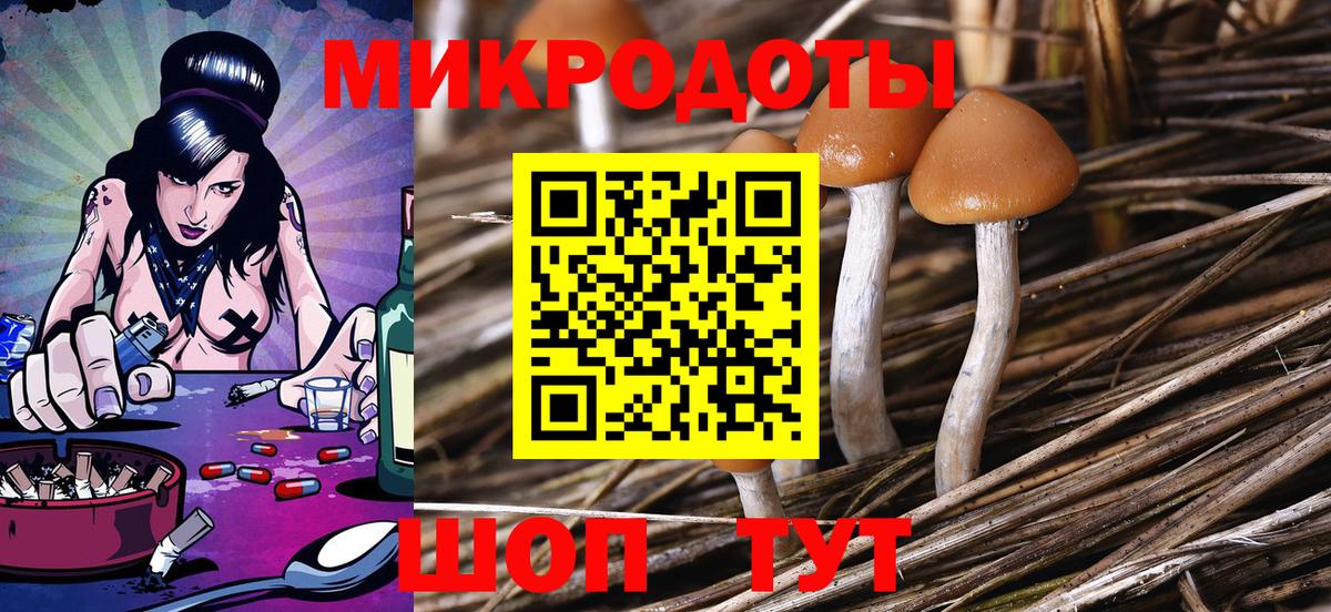 Галлюциногенные грибы Cubensis  Вход с VPN  Красноуфимск 